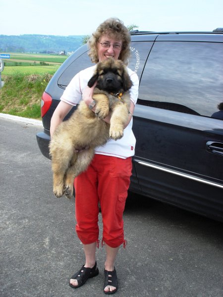 Aragorn0003.JPG - Aragorn