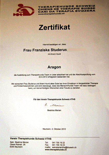 Aragorn0020.jpg - Aragorn ist Therapiehund!