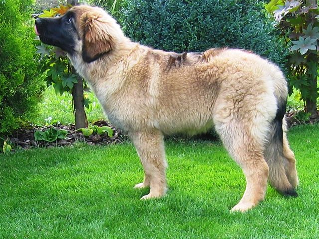 Athena0004.jpg - Athena