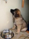 Athena0007.jpg - Athena