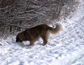 Athena0010.jpg - Athena