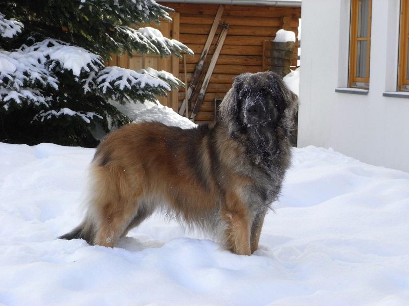 Athena0019.JPG -  Athena                 