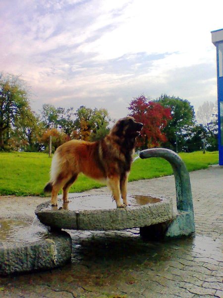 Athena0025.jpg - Athena