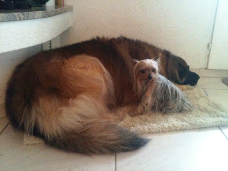 Athena0028.jpg - Athena