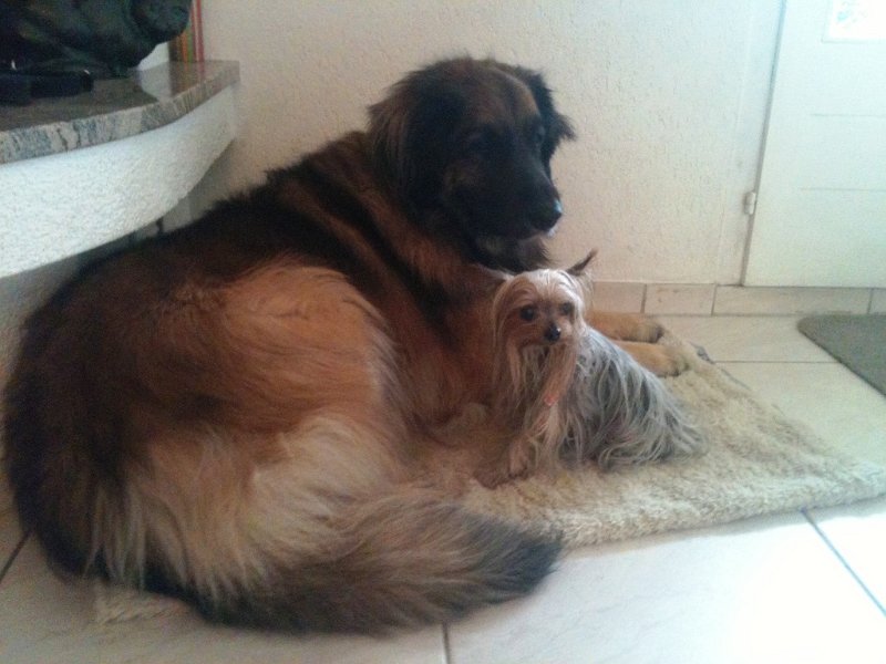 Athena0029.jpg - Athena
