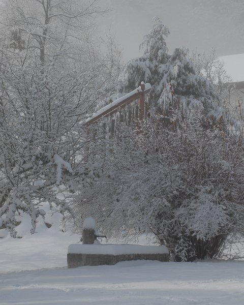BlackVelvet0025.JPG - Das Zuhause im Winter