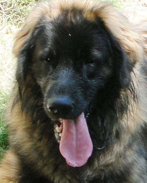 BraveHeart0067.JPG - Brave Heart
