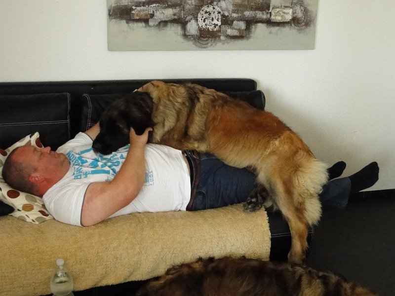 Bellatrix4677.JPG - Es sind ja nur 54 kg