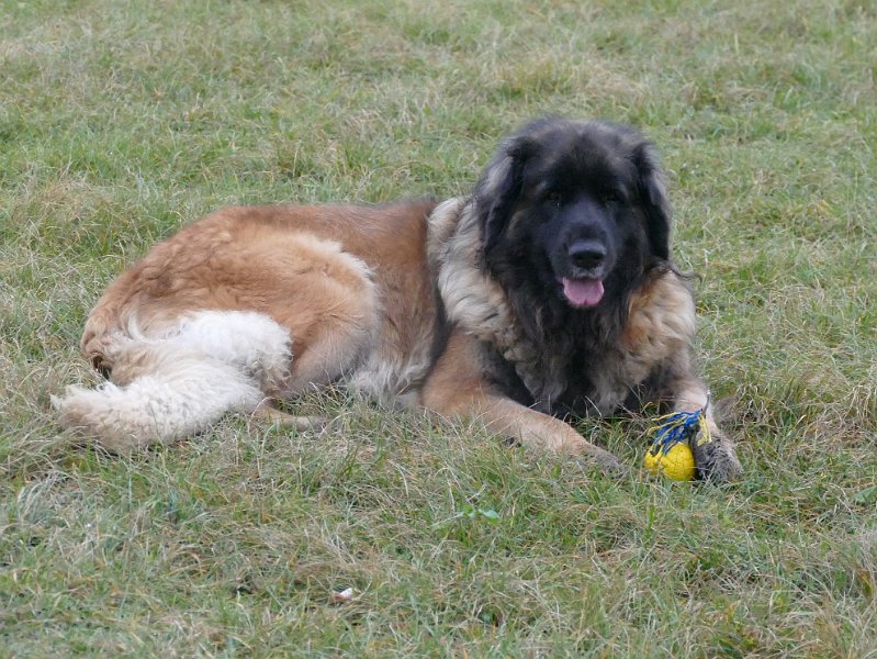 Bellatrix4688.JPG - Grins!