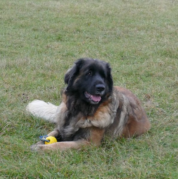Bellatrix4696.JPG - Home, sweet Home!