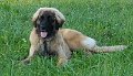 IMG_20180730_114353