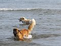 IMG_20180923_095035