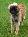 IMG_20181030_075538