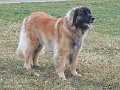 IMG_20220218_073659