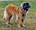 IMG_20220220_165302