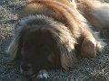 IMG_20220305_074545