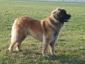 IMG_20220319_073306
