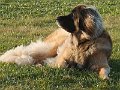 IMG_20220319_073423