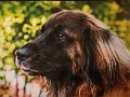 IMG_20220405_061145