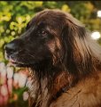 IMG_20220405_061532