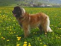 IMG_20220416_104802