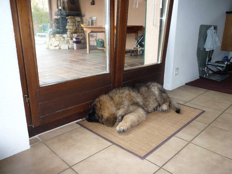 Camillo0027.JPG - Camillo (Cardiff)