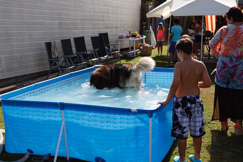 Camillo0140.jpeg - Das Baden ist des Camillos Lust ...