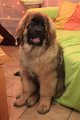 Camillo0014
