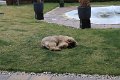 Camillo0020