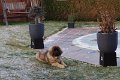 Camillo0024