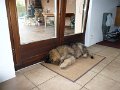 Camillo0027
