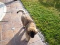Camillo0030
