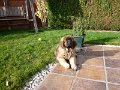 Camillo0032