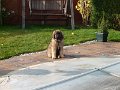 Camillo0033