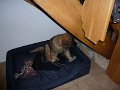 Camillo0039