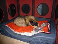 Camillo0048