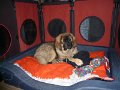 Camillo0051