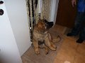 Camillo0053