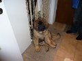 Camillo0054