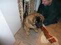 Camillo0055