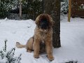 Camillo0058