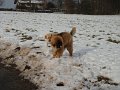 Camillo0064