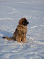 Camillo0073