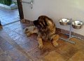 Camillo0100