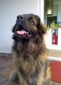Camillo0105
