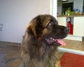 Camillo0107