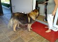 Camillo0108