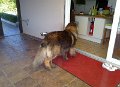 Camillo0109