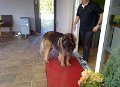 Camillo0110