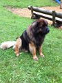Camillo0124